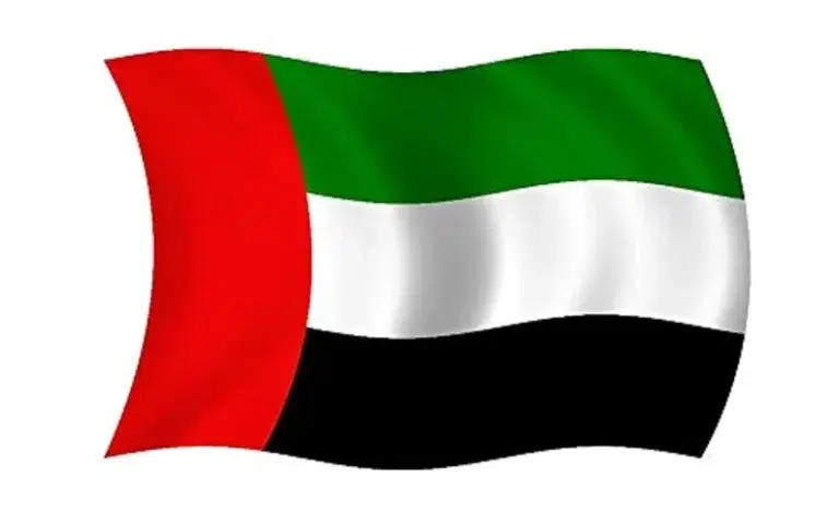 Housekeeper (Part-Time) Property For Sale in Dubai